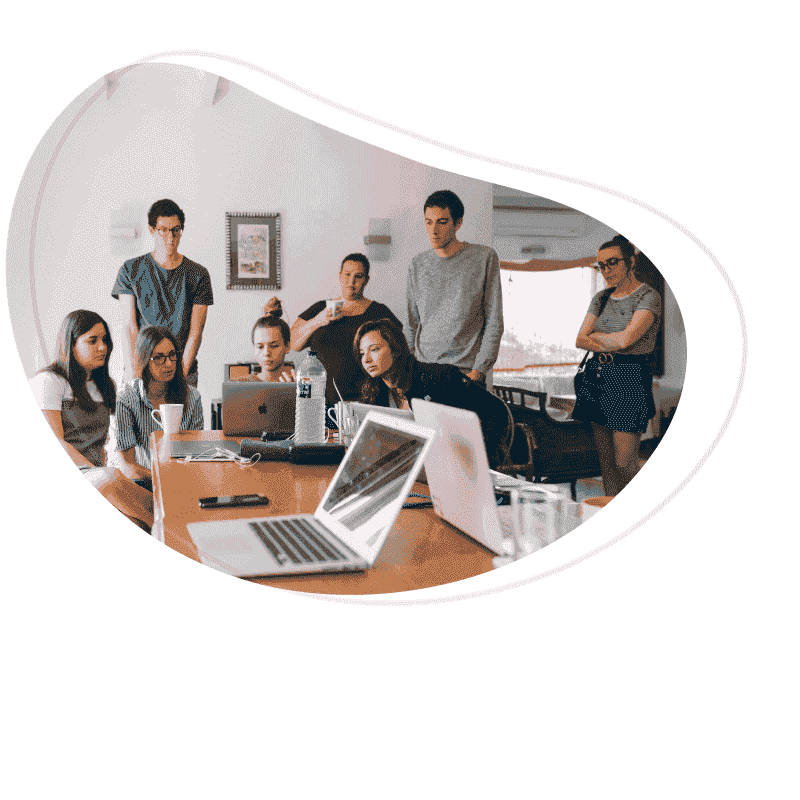 网络短信免费版